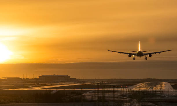 istock Airplane landing in sunset 638674780