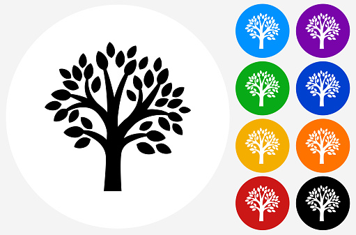 Tree Icon on Flat Color Circle Buttons. This 100% royalty free vector illustration features the main icon pictured in black inside a white circle. The alternative color options in blue, green, yellow, red, purple, indigo, orange and black are on the right of the icon and are arranged in two vertical columns.