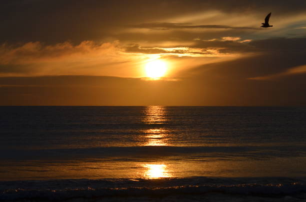 istock Sunrise at Baltic sea 638680766