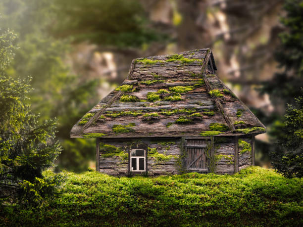 istock Fabulous house in the woods 638681366