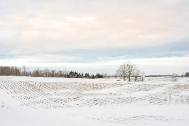 Photo of Rolling farm land under snow in Canada