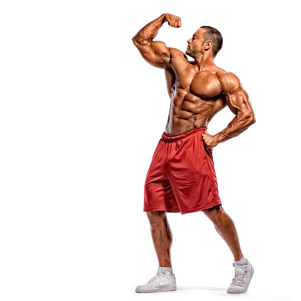 muskeln zeigen - bodybuilding stock-fotos und bilder