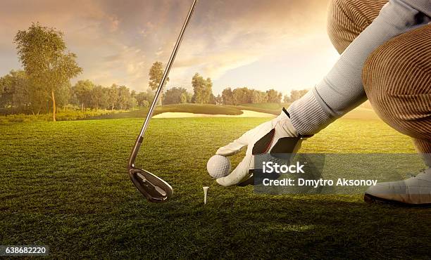 Golf Preparing For Strike Stock Photo - Download Image Now - Golf Ball, Tee - Sports Equipment, Teeing Off