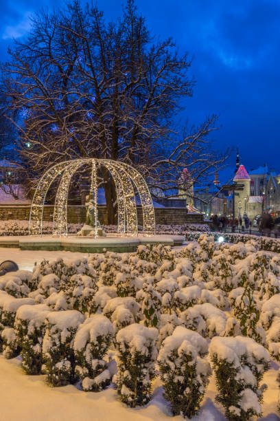 istock Winter Scene In Old Tallinn City at night 638685582
