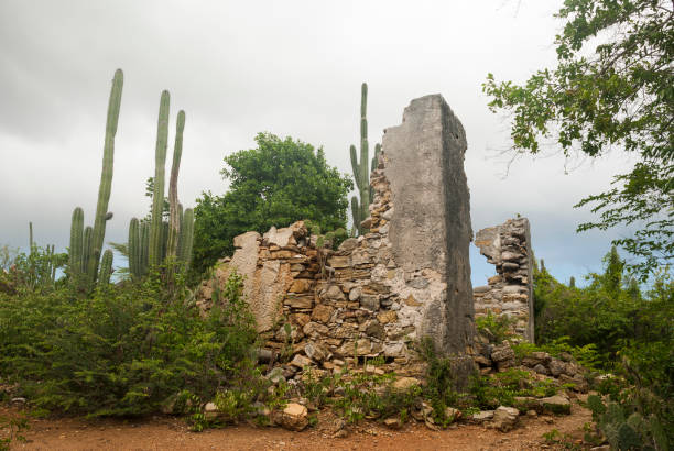 Ruins of landhouse (plantation house) Zorgvlied in Christoffel park on Curacao, Caribbean