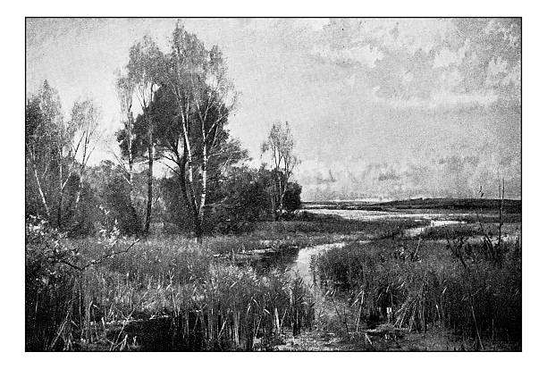istock Antique dotprinted photograph of painting: Swamp 638687394