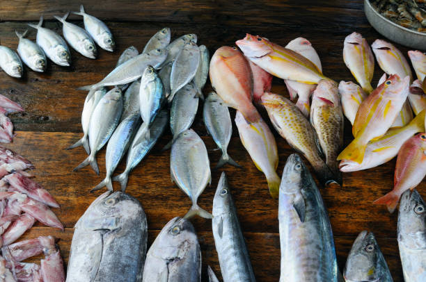 istock fresh fish and other seafood on  wooden table 638687602