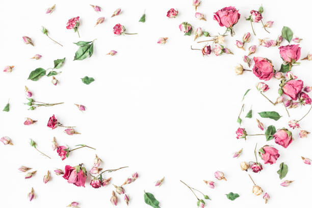 istock Frame made of dried rose flowers. Flat lay, top view 638688690