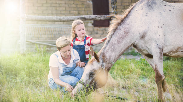 мать и дочь кормят лошадь яблоком - horse child animal feeding стоковые фото и изображения