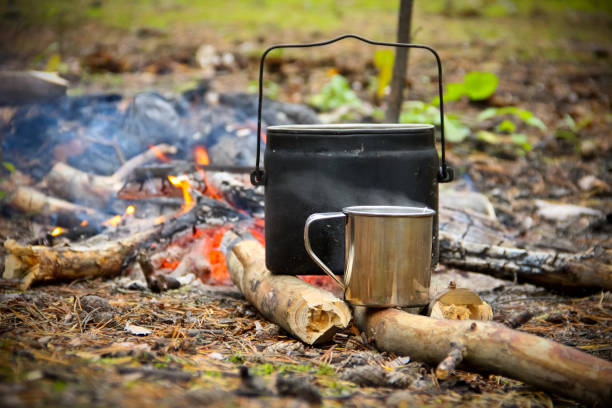 Tea cooked on the fire Bowler and mug with hot water stand on the wood. Focus on mug. In the background burns the fire. fuelwood stock pictures, royalty-free photos & images