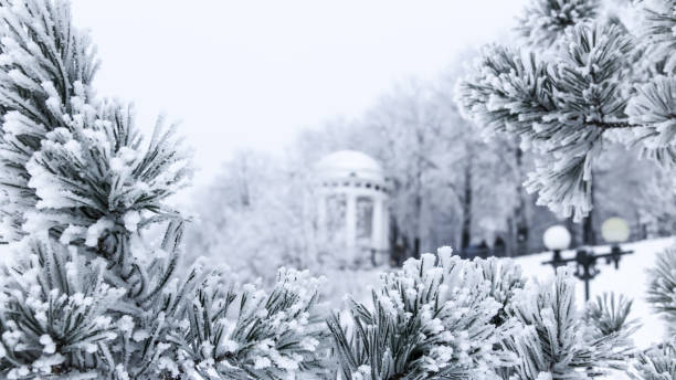 Old gazebo in town park illuminated with flashlight creating blue light of surrounded trees and snow on the ground.