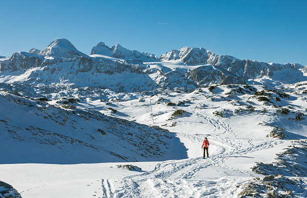 istock Snowshoeing Eldorado at Dachstein Mountains, Austria 638692712