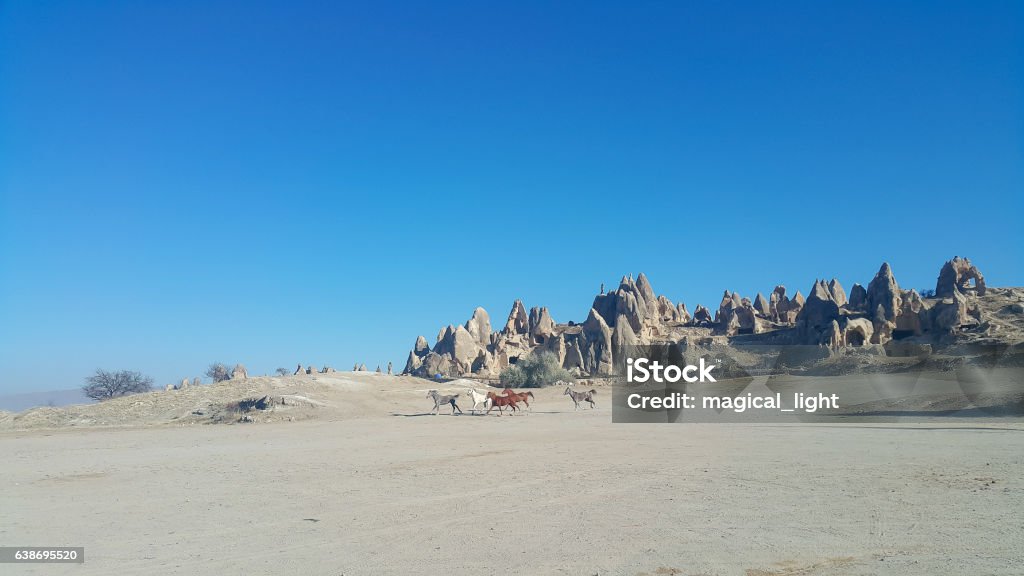 Cappadocia rock formations and horses in Goreme Anatolia Stock Photo
