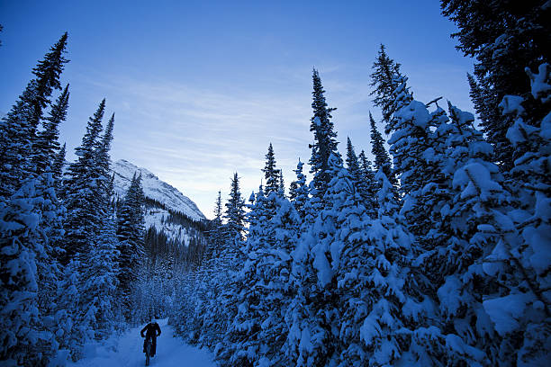 冬の脂肪のサイクリング - extreme terrain powder snow winter snow ストックフォトと画像