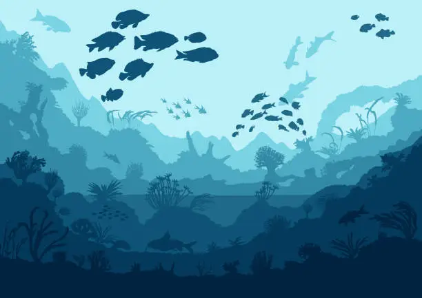 Vector illustration of coral reef and sea creatures