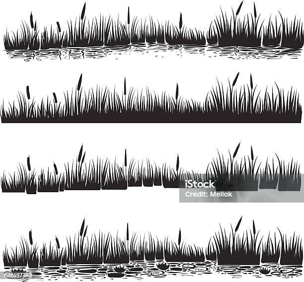 Vector Illustration Of Reed Typha Stock Illustration - Download Image Now - Swamp, Pond, In Silhouette