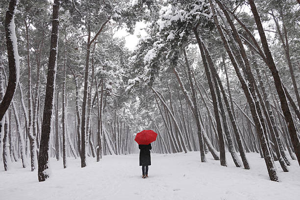 우산을 가진 여성 - snow loneliness tree remote 뉴스 사진 이미지