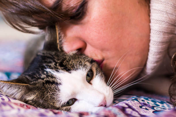 istock Woman holding her cat 638699972