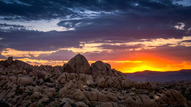 istock Sunrise at Joshua Tree National Park 638700354
