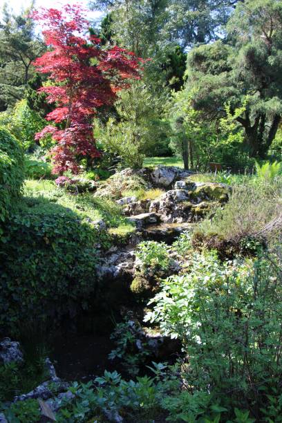 istock Switzerland - geneva, botanical garden 638700444
