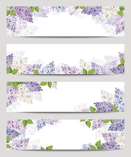 web banners with lilac flowers. vector eps-10. - leylak stock illustrations