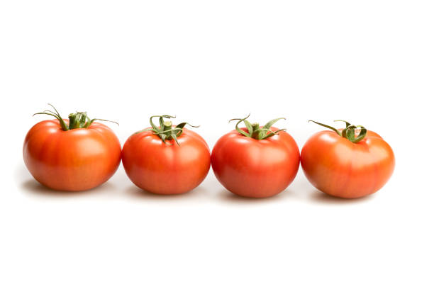 istock Four realistic looking tomatoes in a line isolated white background 638704596