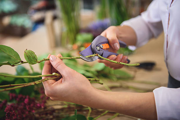 istock Skillful woman making bouquet in workshop 638709176