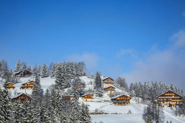istock Wooden Chalets Resort 638711956