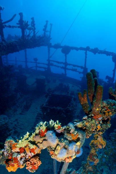 Antilla Shipwreck in Aruba stock photo