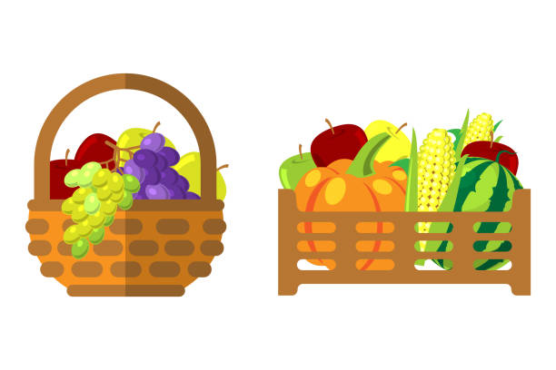 고리버들 바구니 벡터 일러스트레이션의 과일과 채소 - basket apple wicker fruit stock illustrations