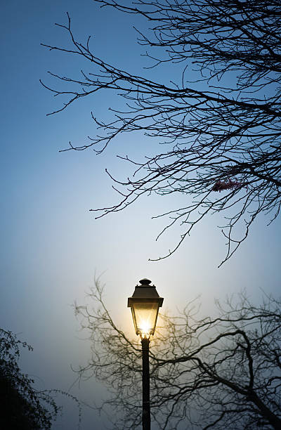 istock Montmartre street lamp 638721366