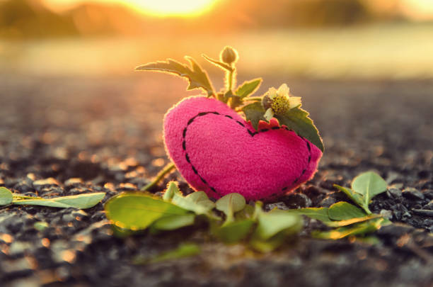 Valentine's Day. knitted hearts. pink heart and sunset