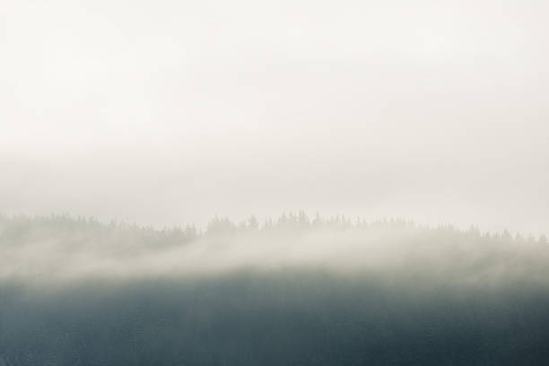 Misty Mountains stock photo