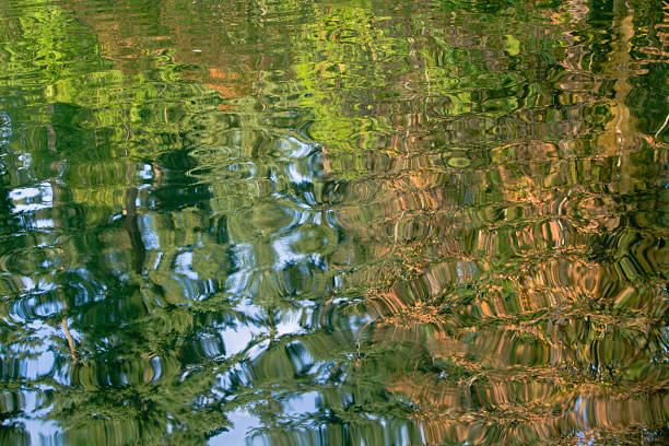 istock Colorful Autumn reflections as backgrounds 638722042