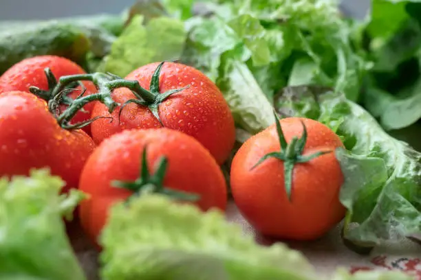 Photo of Bright juicy tomatoes shot among fresh green salad
