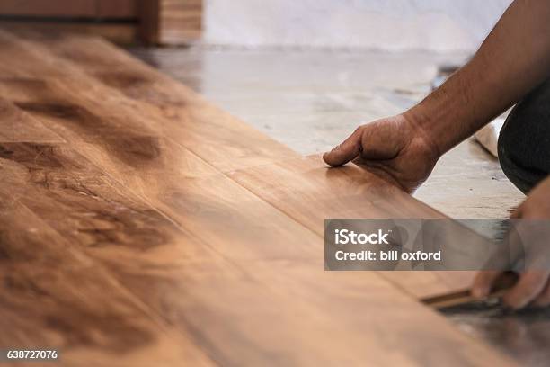 Installing Wood Flooring Stock Photo - Download Image Now - Flooring, Hardwood Floor, Installing