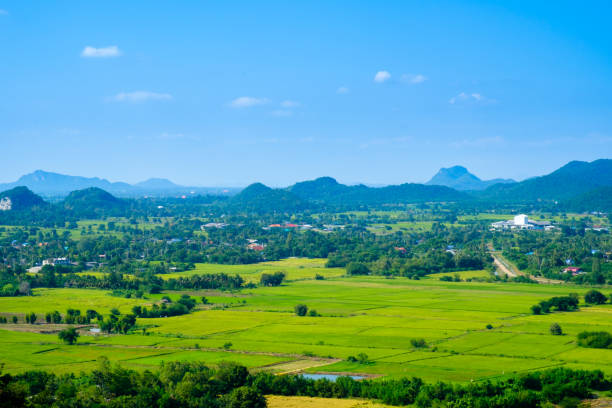 istock Rice field with mountain blue sky background 638727810