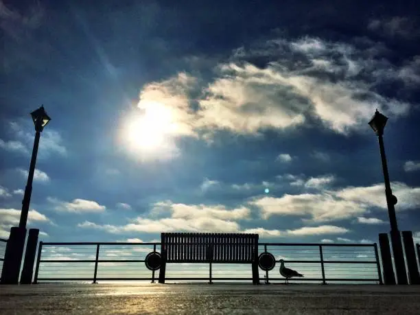 A metal bench on a beach pier with a bird observing