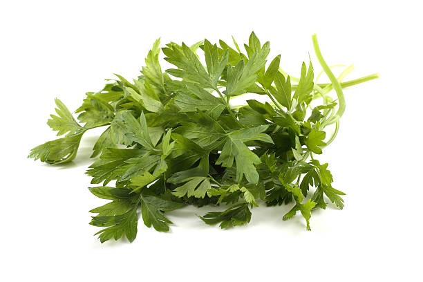 istock Bunch of parsley 638731162