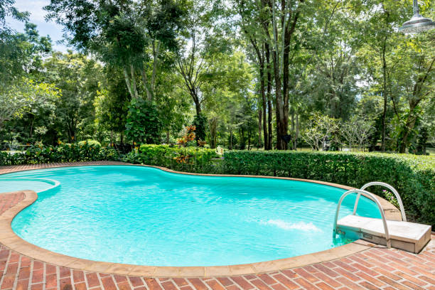 istock Swimming pool with view garden 638731672