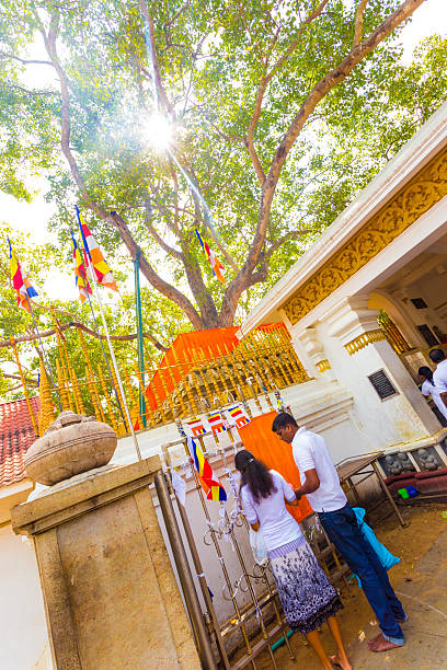 anuradhapura jaya sri maha bodhi tree worshippers - iron asian culture buddhism buddha imagens e fotografias de stock