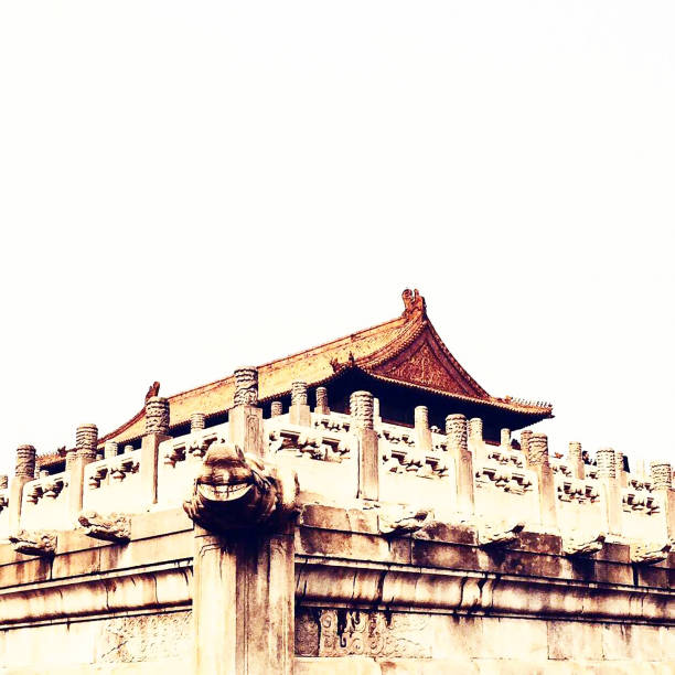 el palacio imperial en beijing china en invierno - zijin cheng fotografías e imágenes de stock