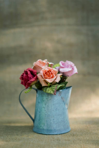 istock Rose in the pot with blurry hessian texture background 638734434