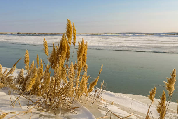 istock Syrdarya River in January, Baikonur, Kazakhstan 638736070