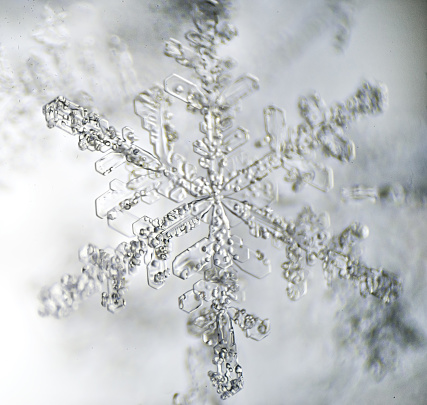 The Microscopic World. Snowflake under microscope.