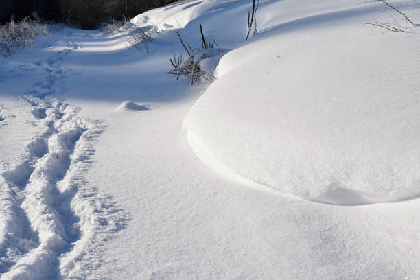 istock Human footprints in snow drifts on the road. 638749088