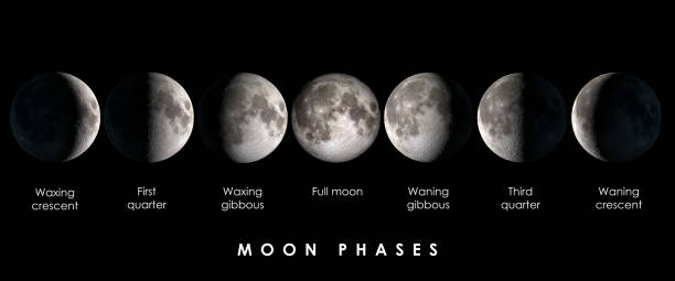 fases lunares con texto - luna creciente fotografías e imágenes de stock
