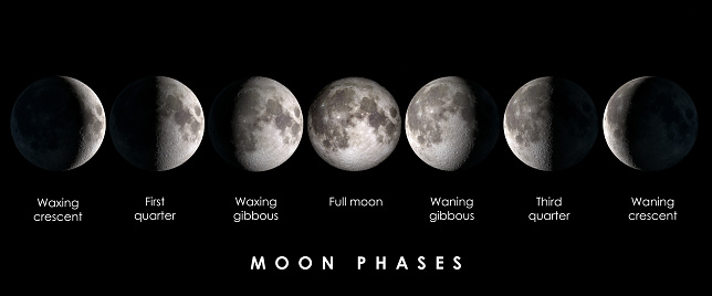 Phases of the Moon. Lunar cycle.