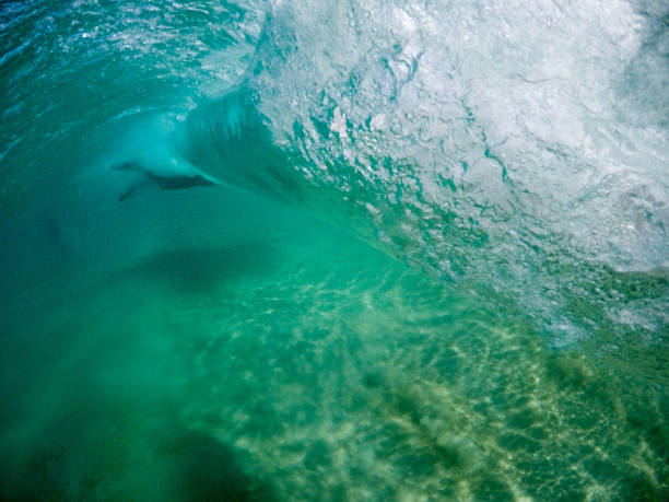 istock Beautiful picture of underwater world 638751438
