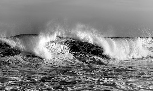 Black and white photo of a Huge Wave, Sydney Australia